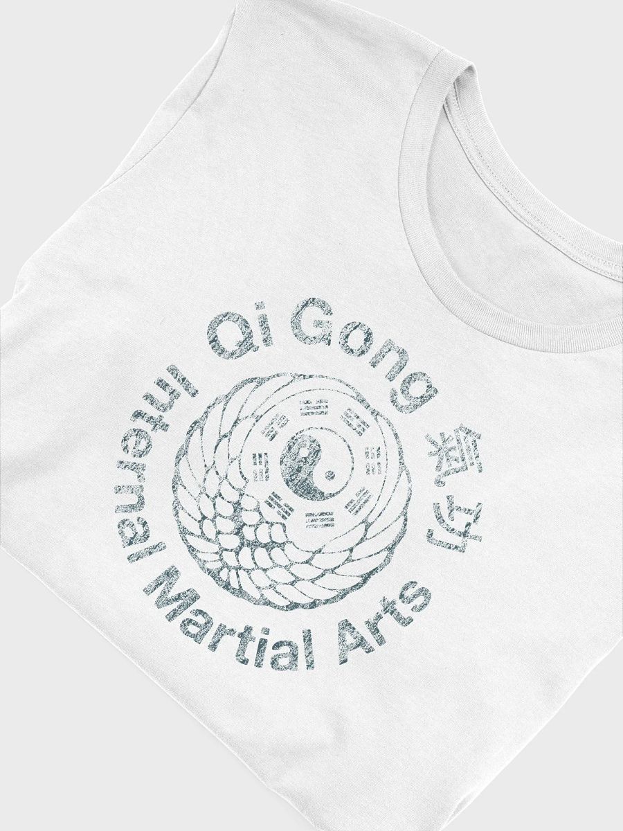 QiGong Internal Martial Arts product image (4)
