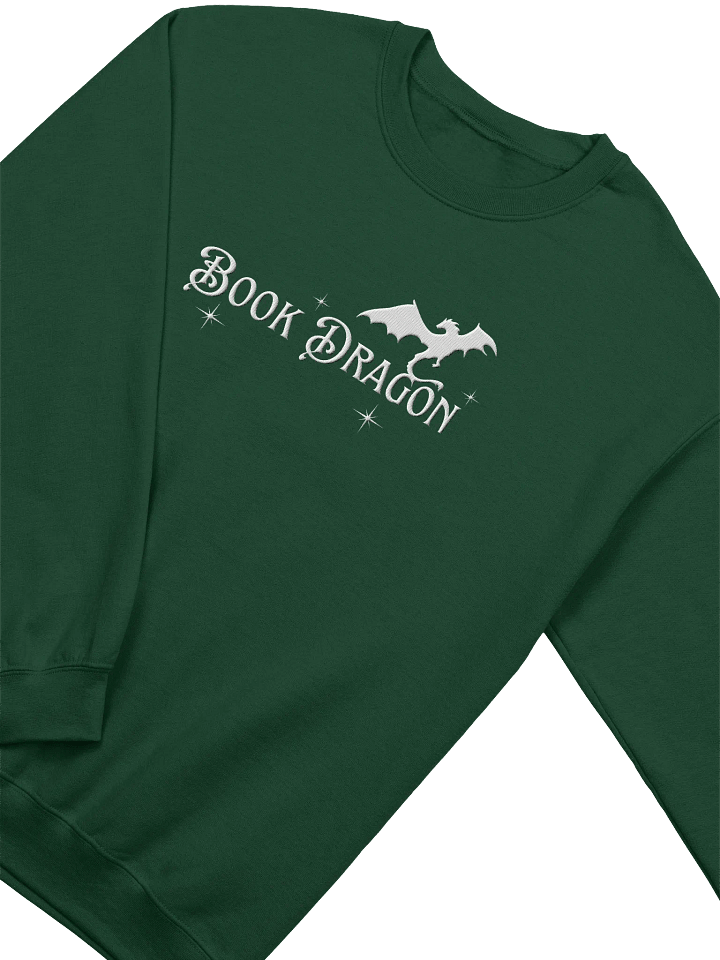 Book Dragon Embroidered Crewneck Sweatshirt product image (8)