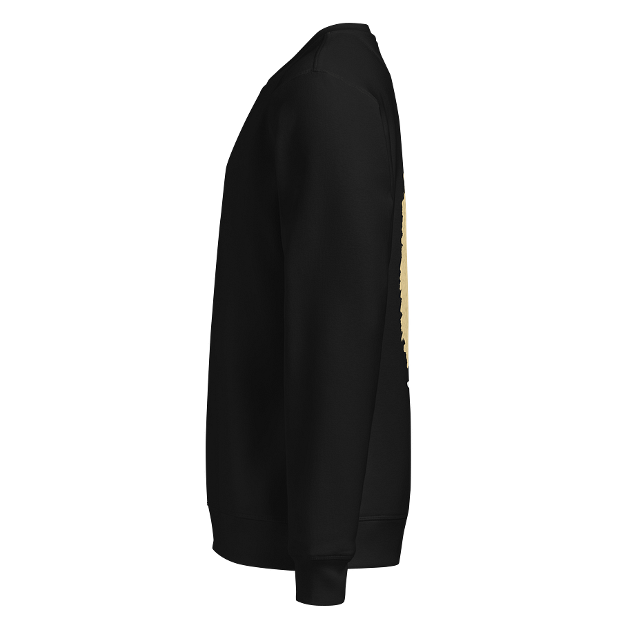 Stanley/Stella Unisex Organic Sweatshirt product image (3)