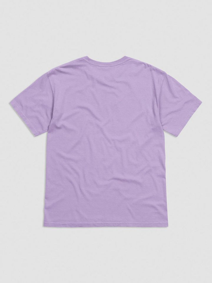 I Have Standards T-Shirt(Embroidered) of a Standard Schnauzer(Black) product image (34)