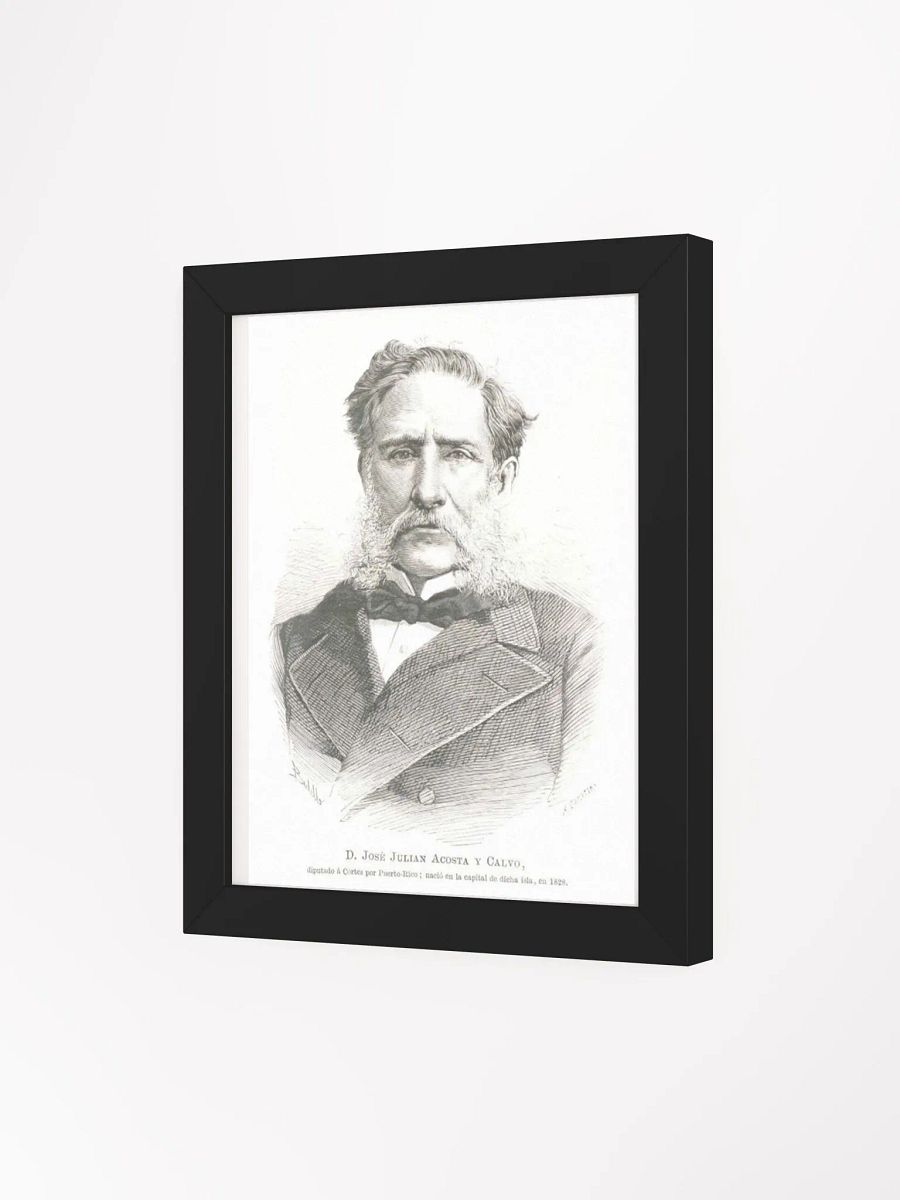 Cuadro - José Julián Acosta y Calvo: Diputado Provincia de Puerto Rico product image (3)