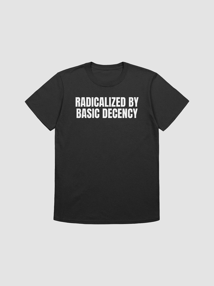 Radicalized By Basic Decency T-Shirt product image (2)