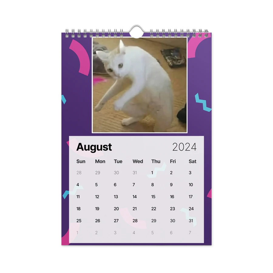 Wall Calendar (2024): Meme Cats product image (4)