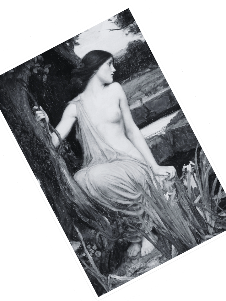 Echo. The Sticker. product image (1)