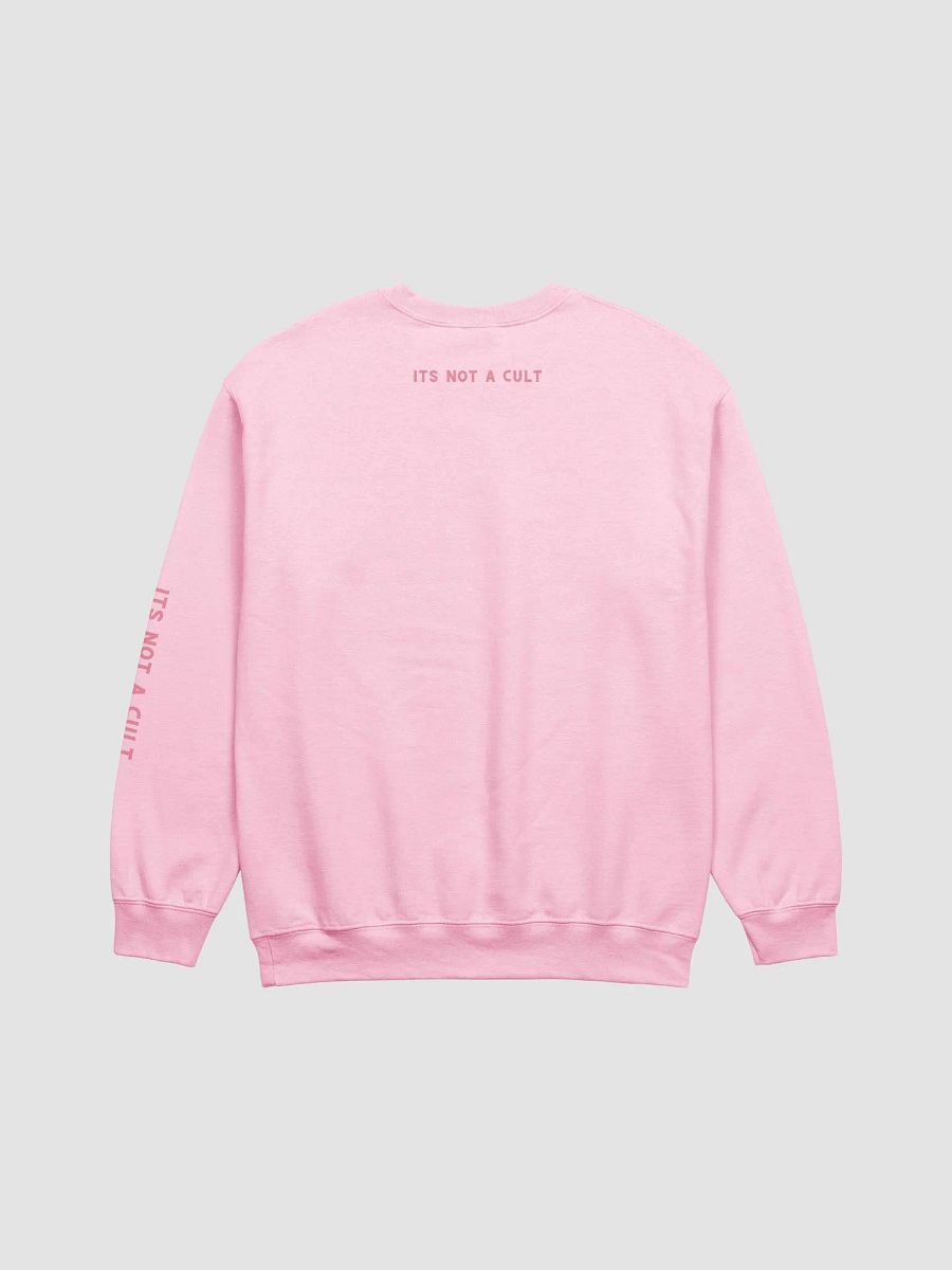 NOT A CULT Sweatshirt product image (10)