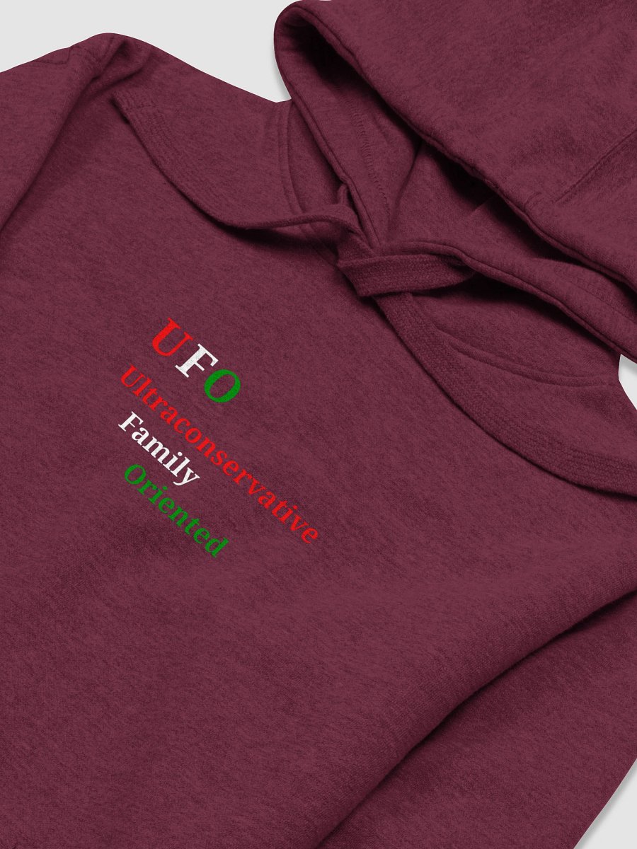 UFO Ultraconservative Family Oriented Premium Hoodie product image (3)