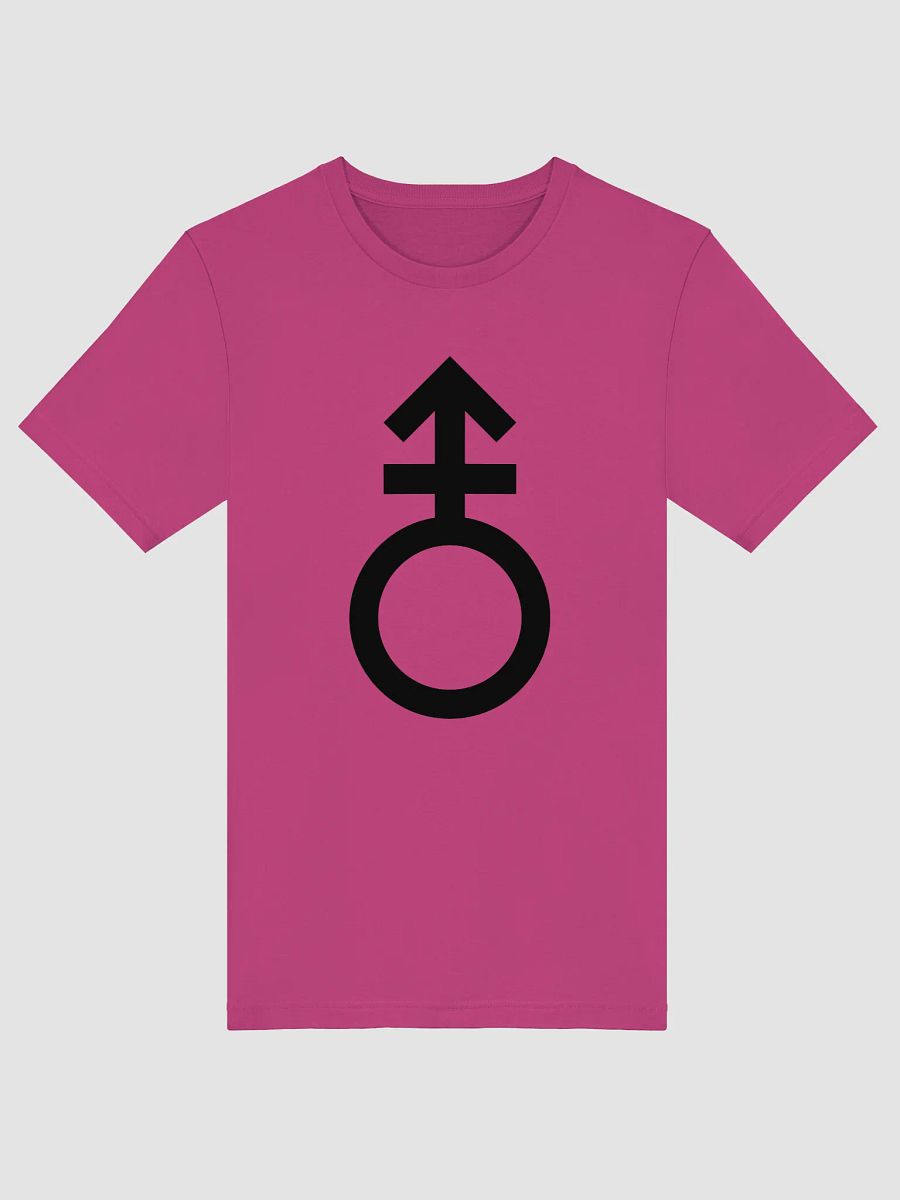 androgyne symbol t-shirt product image (1)