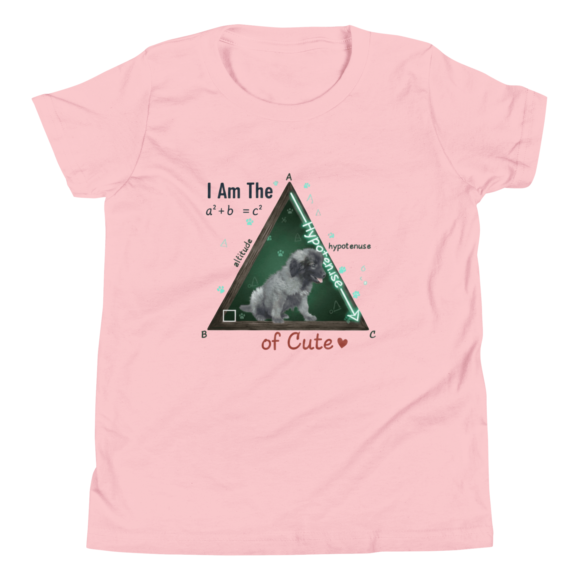 Kids Science Tee | Math Humor product image (1)