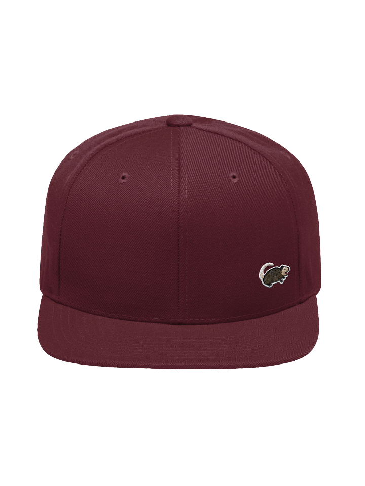 PASP Possum Snapback product image (1)