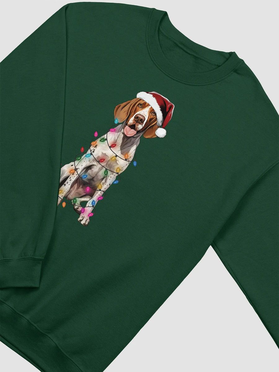 Funny Redtick Coonhound(2) Christmas Sweatshirt for Coonhound Paw-rents product image (9)