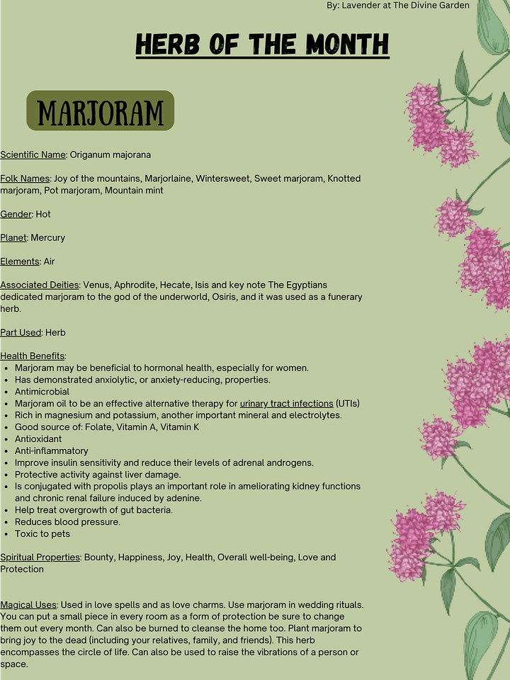 Marjoram product image (1)