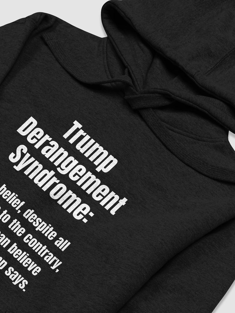TDS Definition Hoodie product image (17)