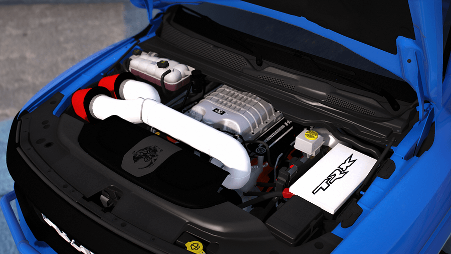 Custom TRX product image (4)