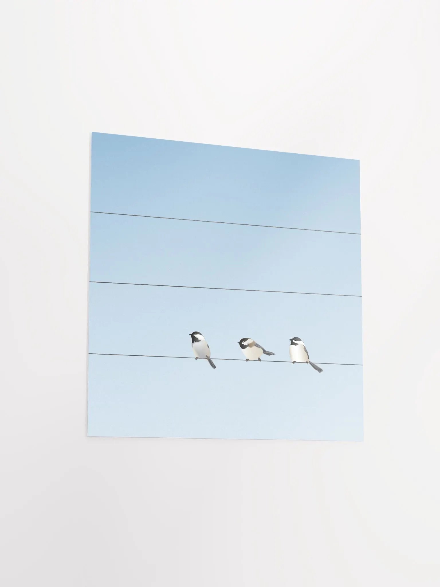 Three Birds on a Wire product image (3)