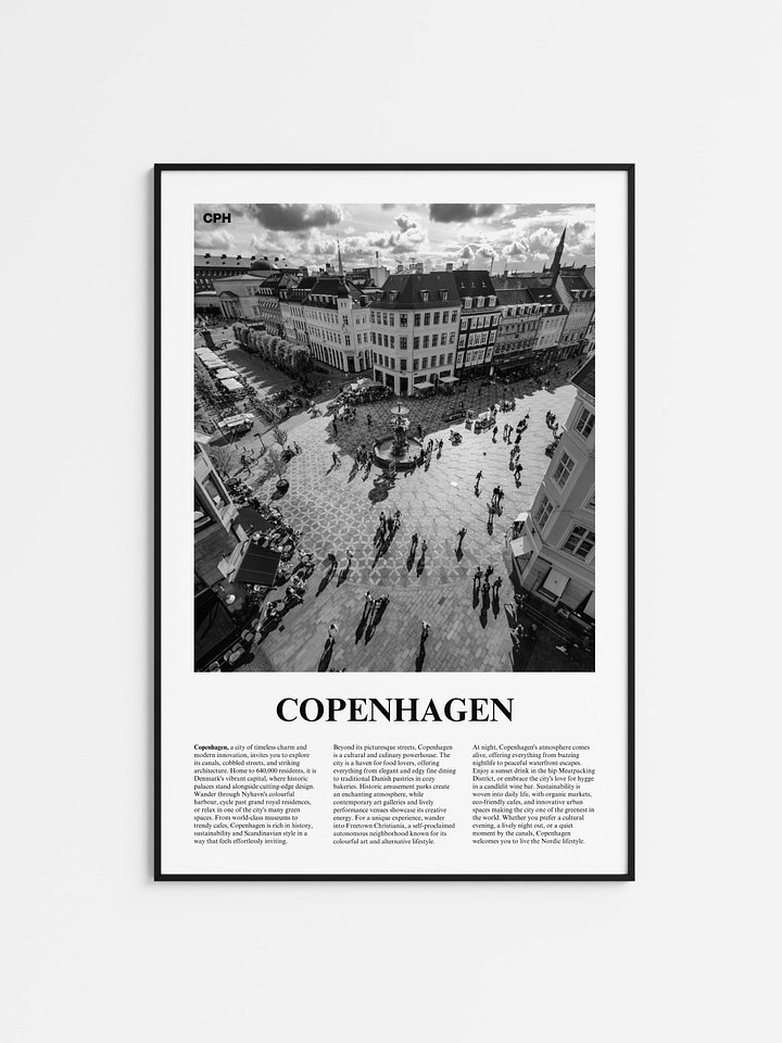 Copenhagen 02 Newspaper Poster product image (1)