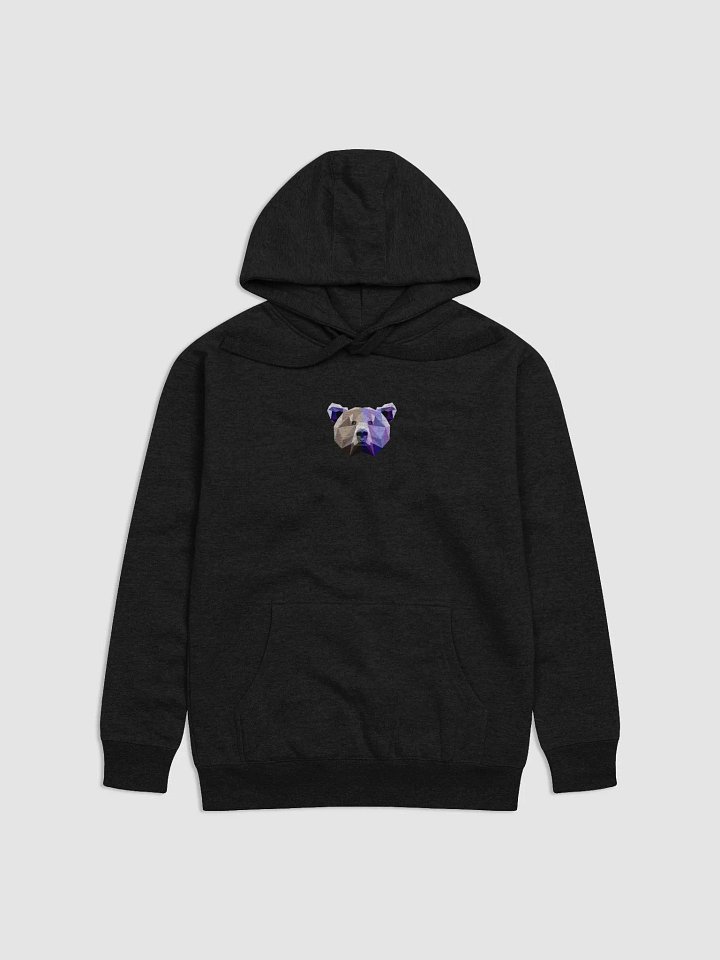 Sylvan Scholars hoodie product image (1)