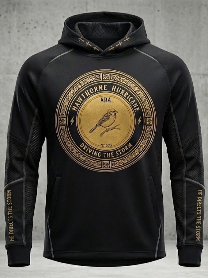 OFFICAL TEAM HOODIE product image (1)