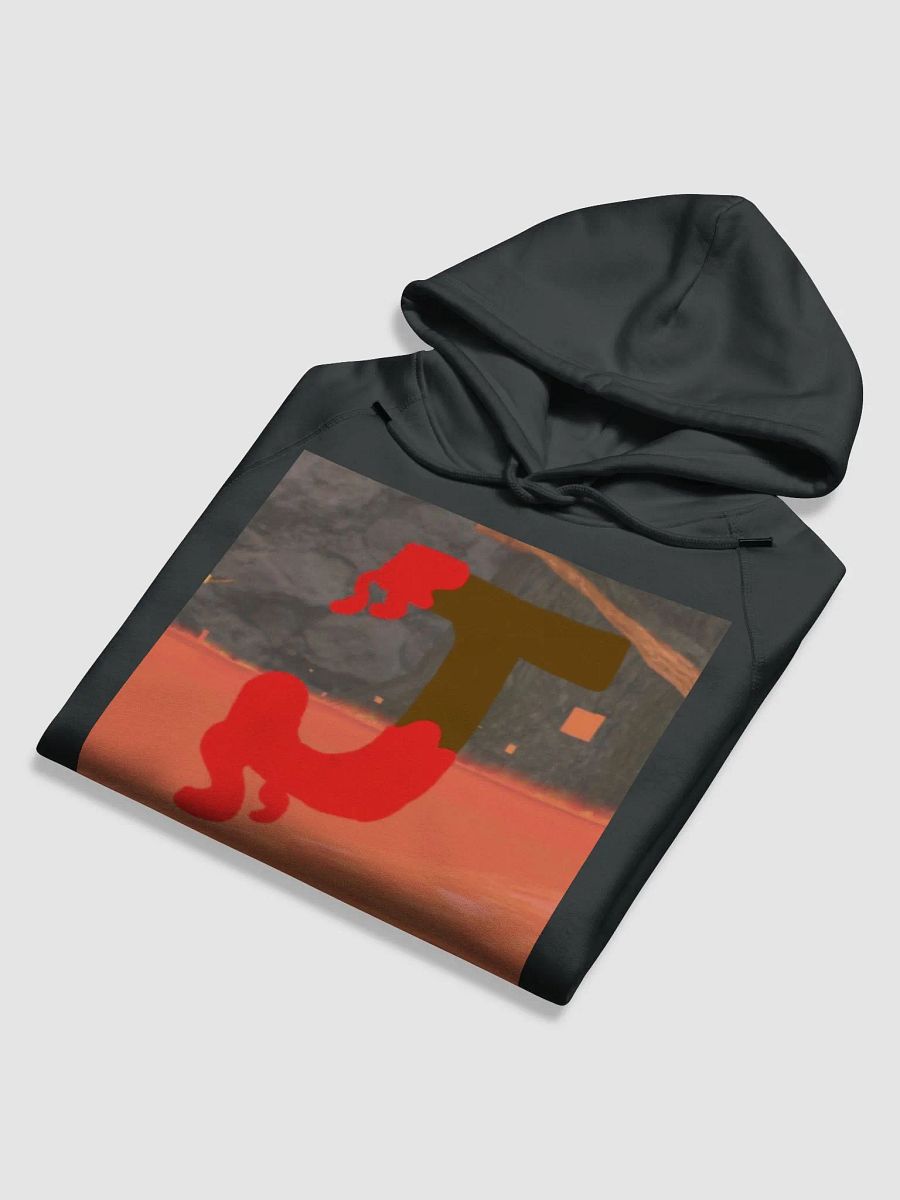 PotatoJellyJakes eco friendly hoodie product image (6)