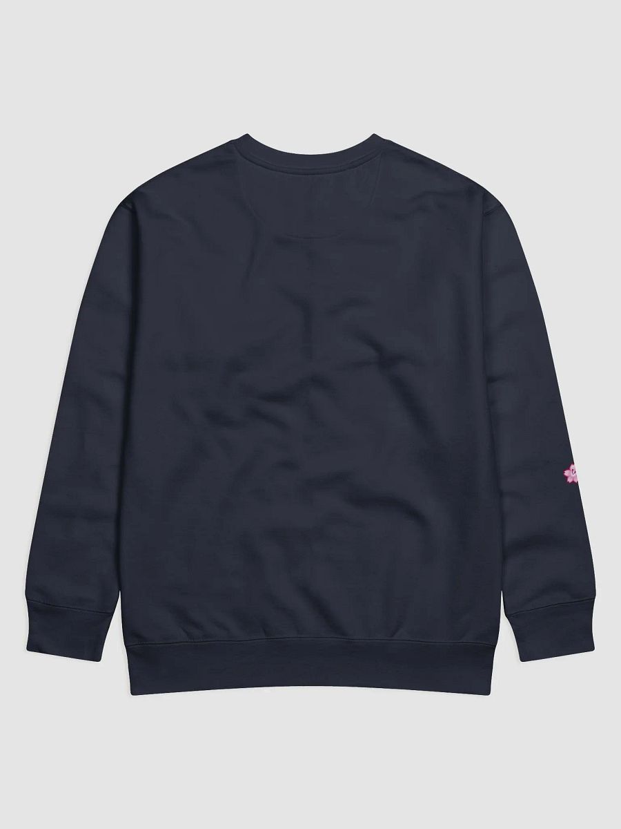 THE HOT MESS EXPRESS | PREMIUM SWEATSHIRT product image (3)