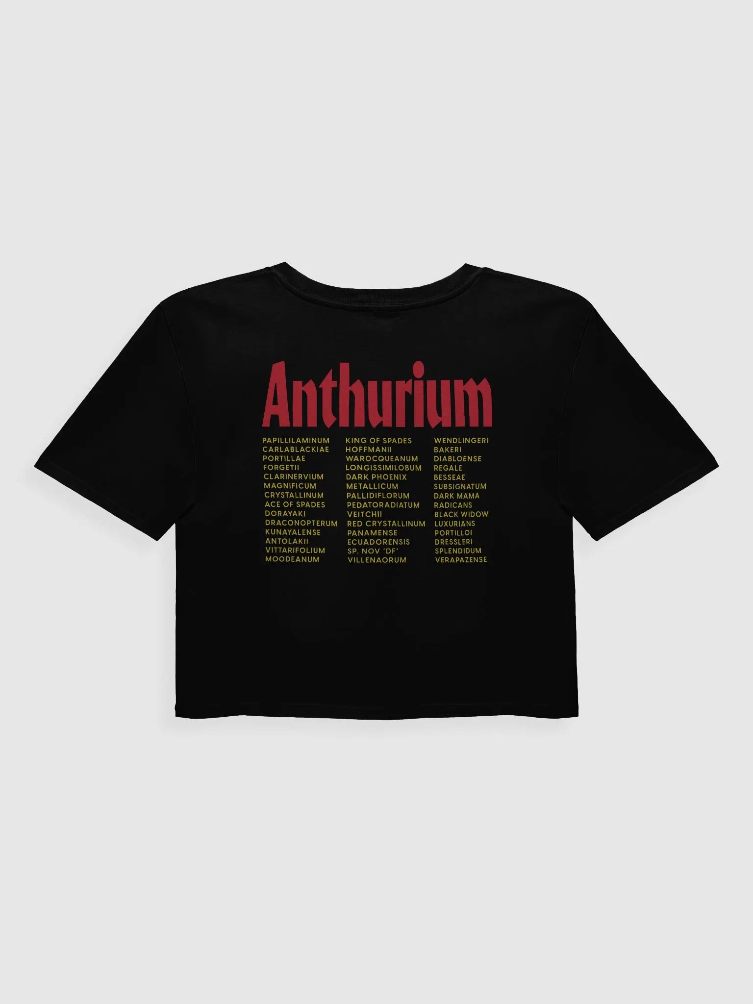 ⚡️ ANTHURIUM WORLD TOUR ⚡️ crop top product image (2)