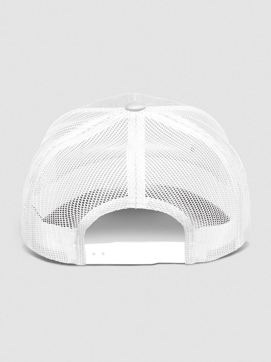 Frosty Hat (White) product image (4)