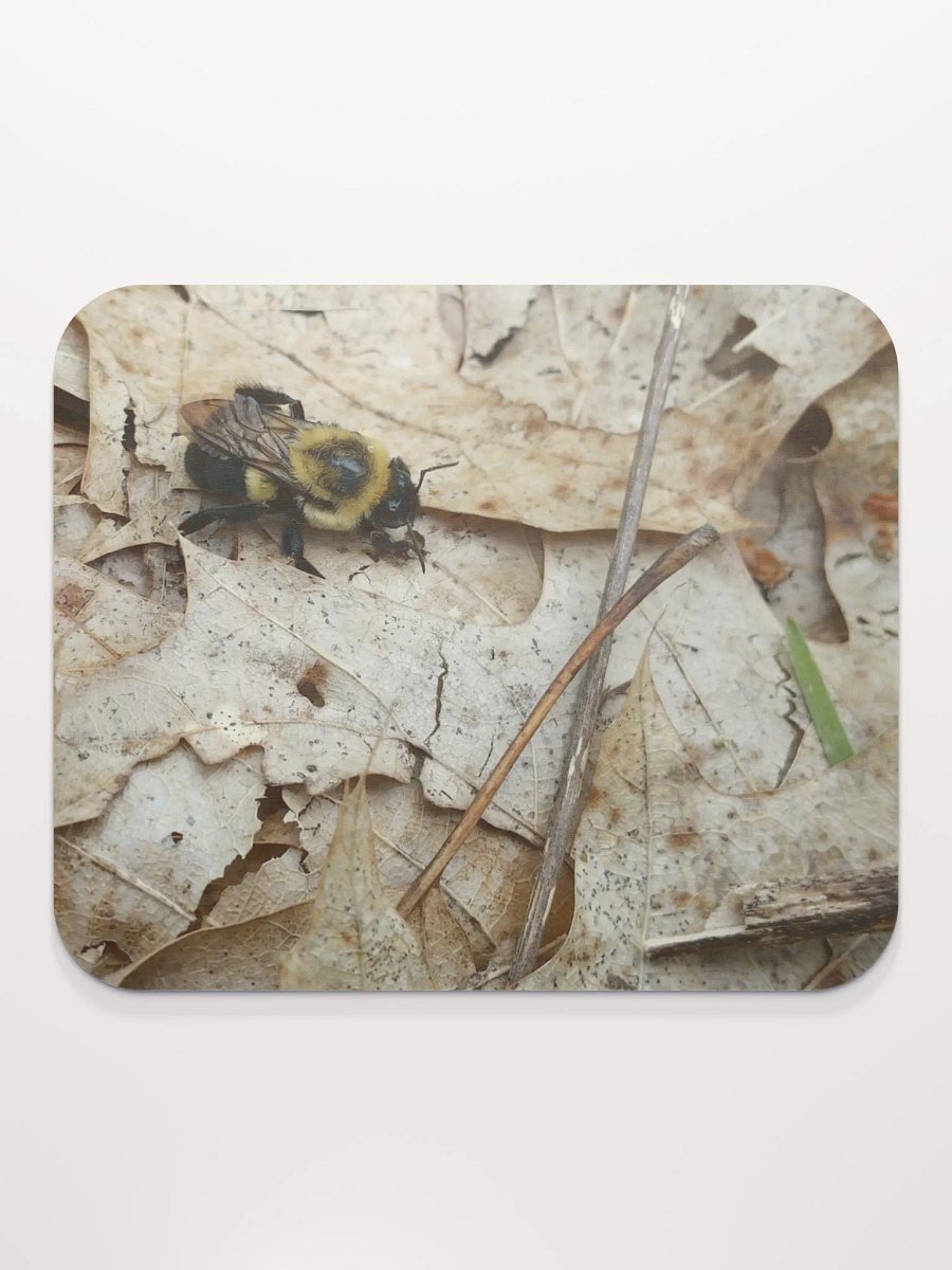 Bee Leaf In Yourself (Mouse Pad) product image (2)
