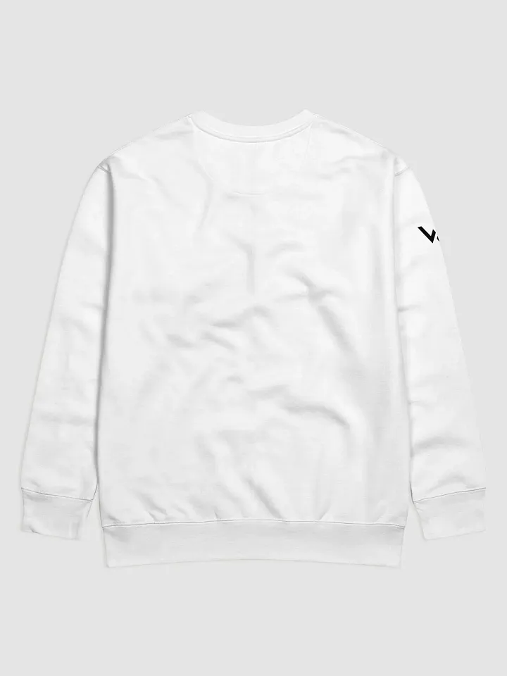 WorldWide Sweatshirt product image (2)