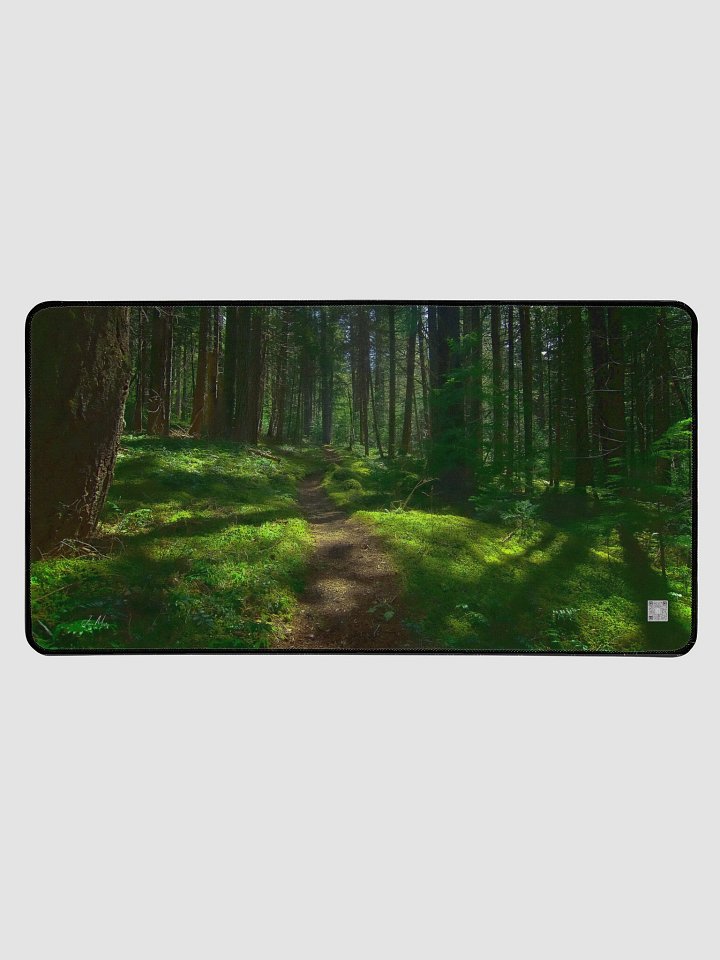 Copy of Hiking in the Buckhorn Wilderness Desk Mat product image (1)
