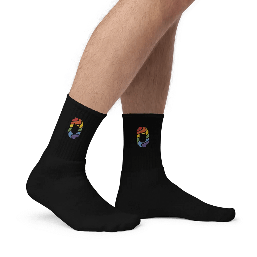 Pup in Rainbow - Embroidered Socks product image (5)