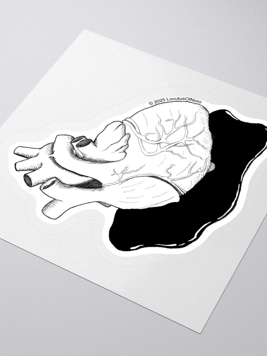 Anatomical Heart product image (8)