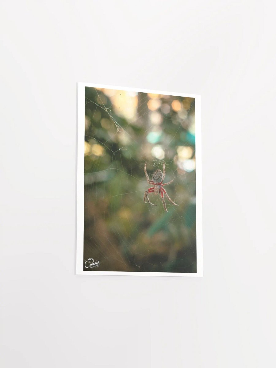 The Spiders Web - Print product image (3)