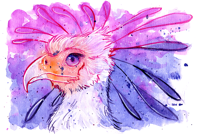 Secretary Bird Watercolor product image (5)