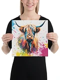 Multi Coloured Paint Splash Highland Cow Wall Art product image (1)