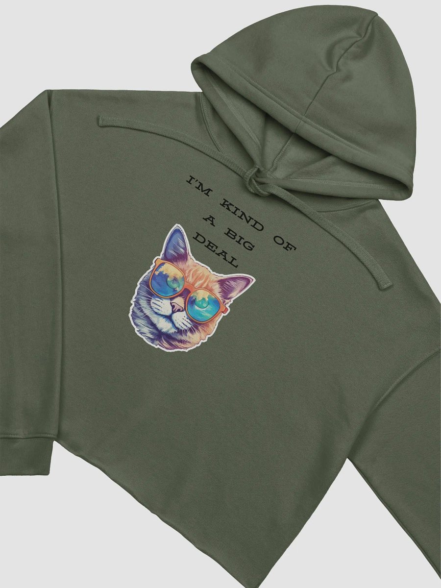 I'm kind of a big deal Fleece Crop Hoodie product image (3)