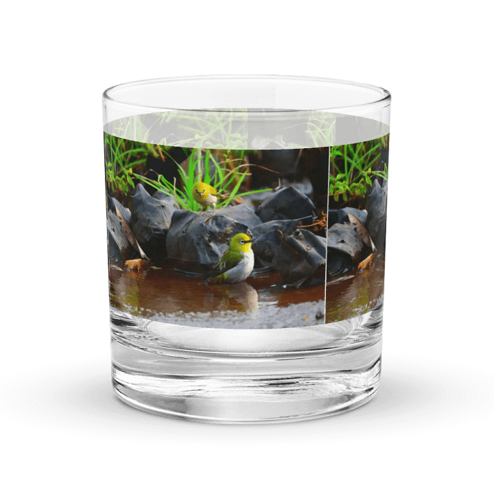 IUCAA Birds GLASS product image (1)