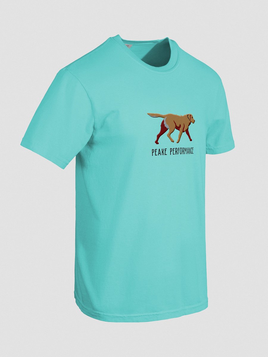 Peake Performance T-Shirt(Embroidered) of a Chesapeake Bay Retriever(Tan) product image (38)