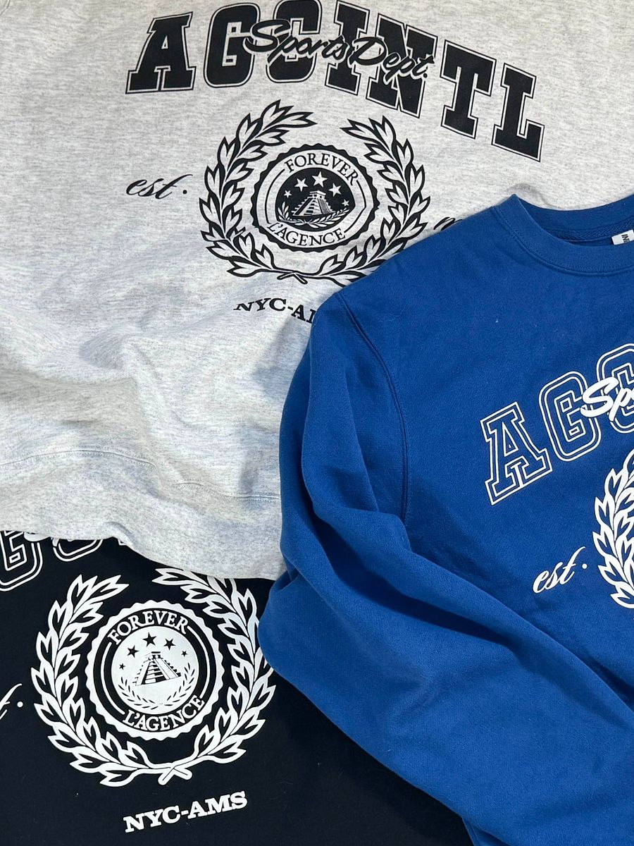 AGC Athletics Sports Crewneck in Grey product image (3)