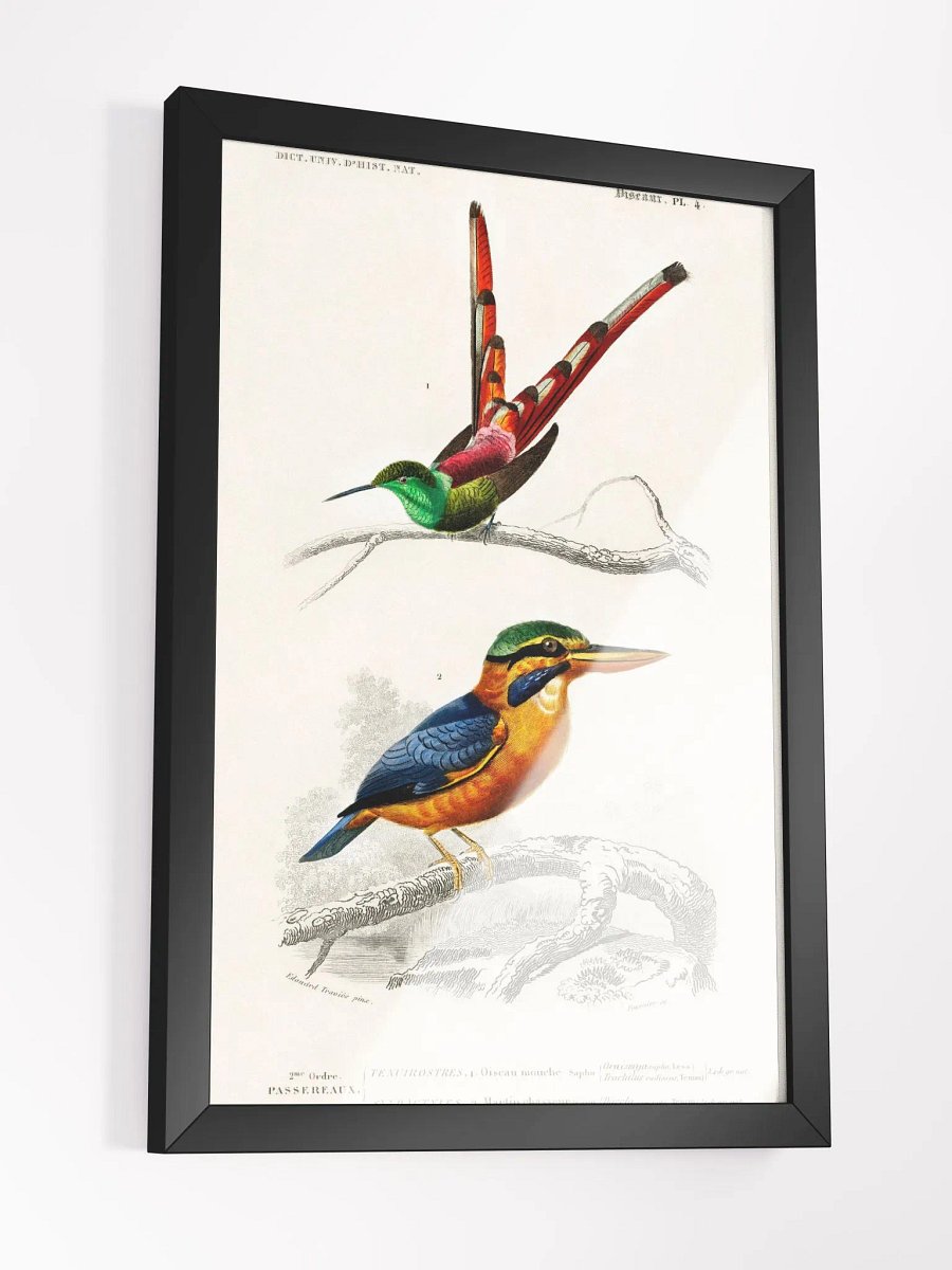 Different types of birds product image (6)
