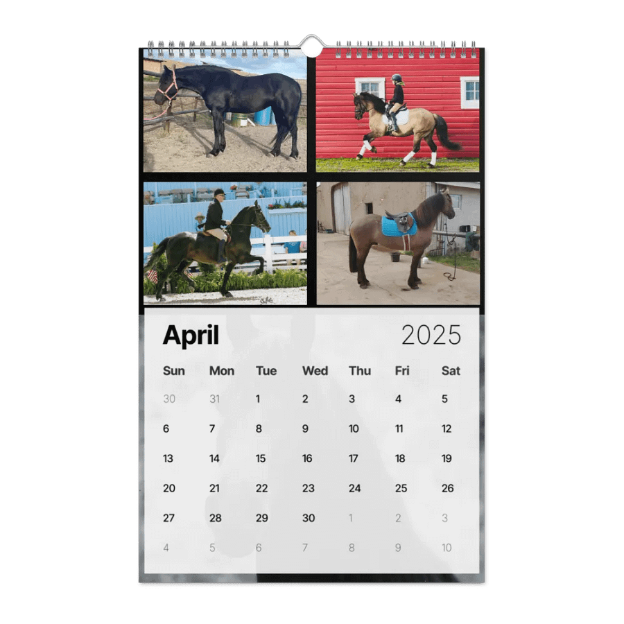 2025 Moriesian Horse Registry Calendar product image (14)