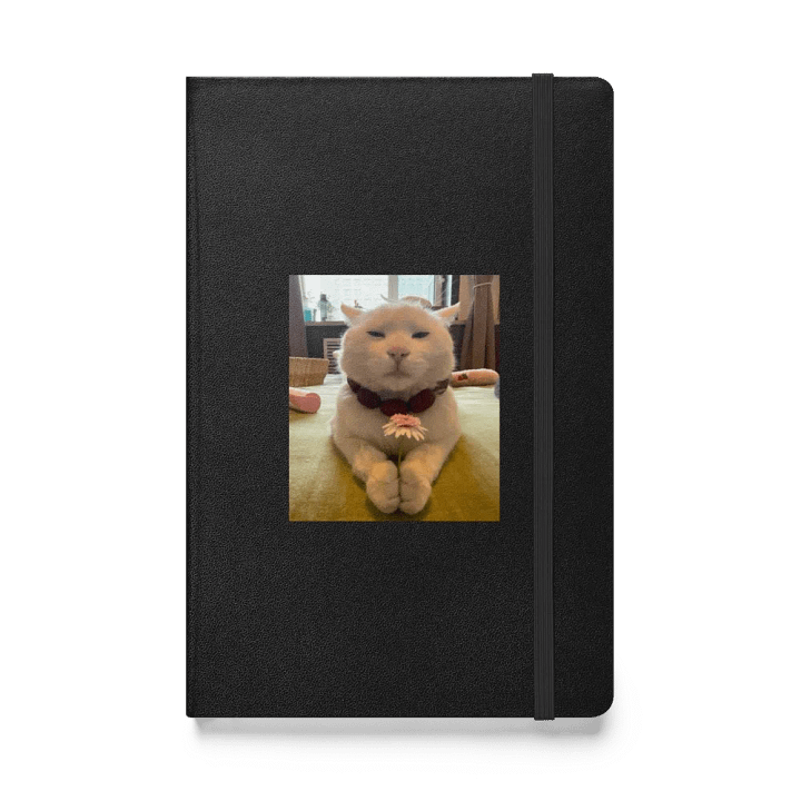 Whimsical Cat Hardcover Notebook product image (1)