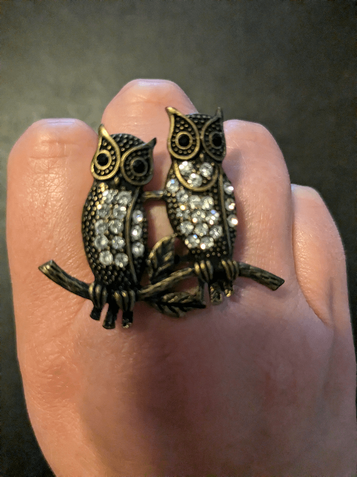 Friendship Owl Adjustable Ring product image (1)