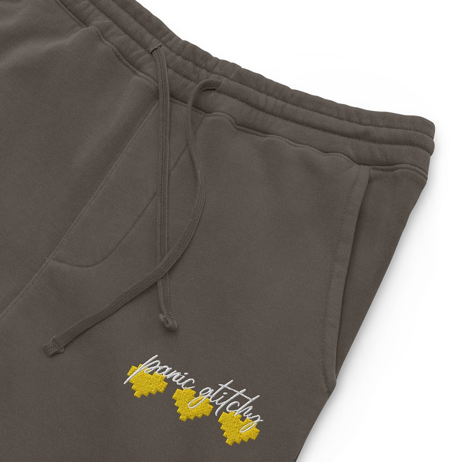 Embroidered Panic Glitchy Pigment Dyed Jogger product image (4)
