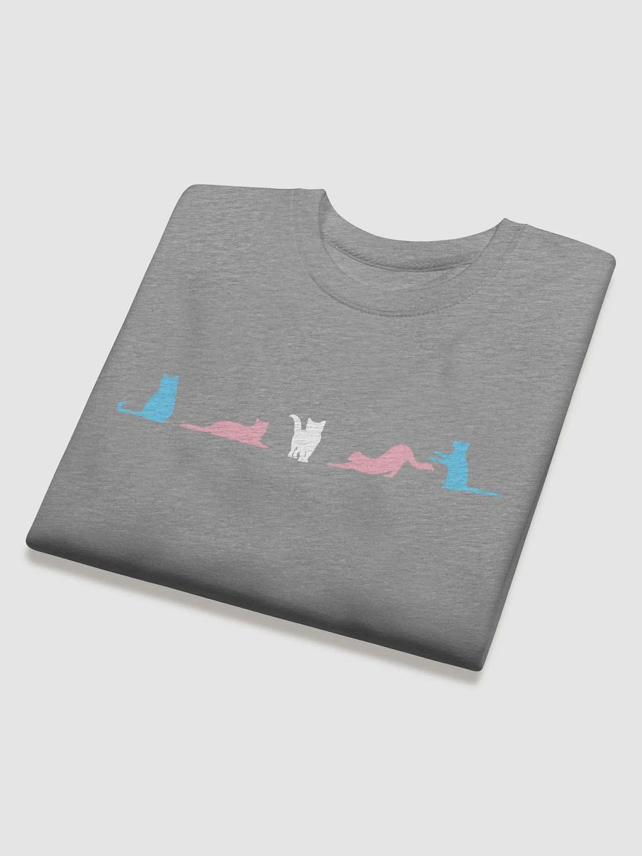 Transgender Pride Cats Long Sleeve product image (24)