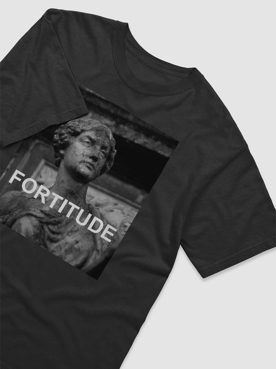 Fortitude T-Shirt product image (3)