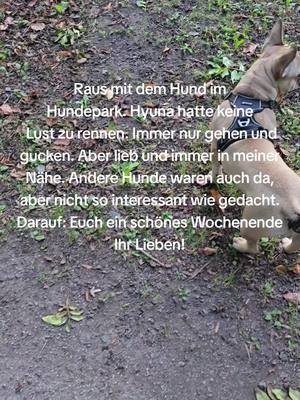 Mit Hyuna im Hundepark.  Raus mit dem Hund im Hundepark. Hyuna hatte keine  Lust zu rennen. Immer nur gehen und gucken. Aber lieb und immer in meiner Nähe. Andere Hunde waren auch da, aber nicht so interessant wie gedacht. Darauf: Euch ein schönes Wochenende  Ihr Lieben!