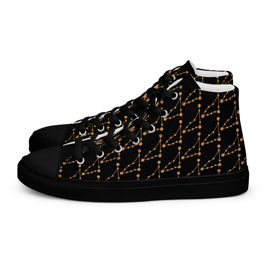 Capricorn High Top Canvas Shoes product image (1)