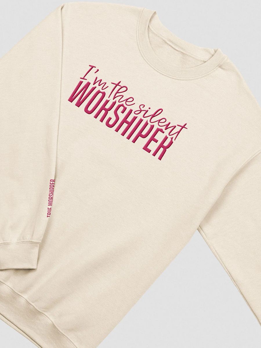 The Silent Worshipper Embroidered Sweatshirt| Light Colors product image (9)