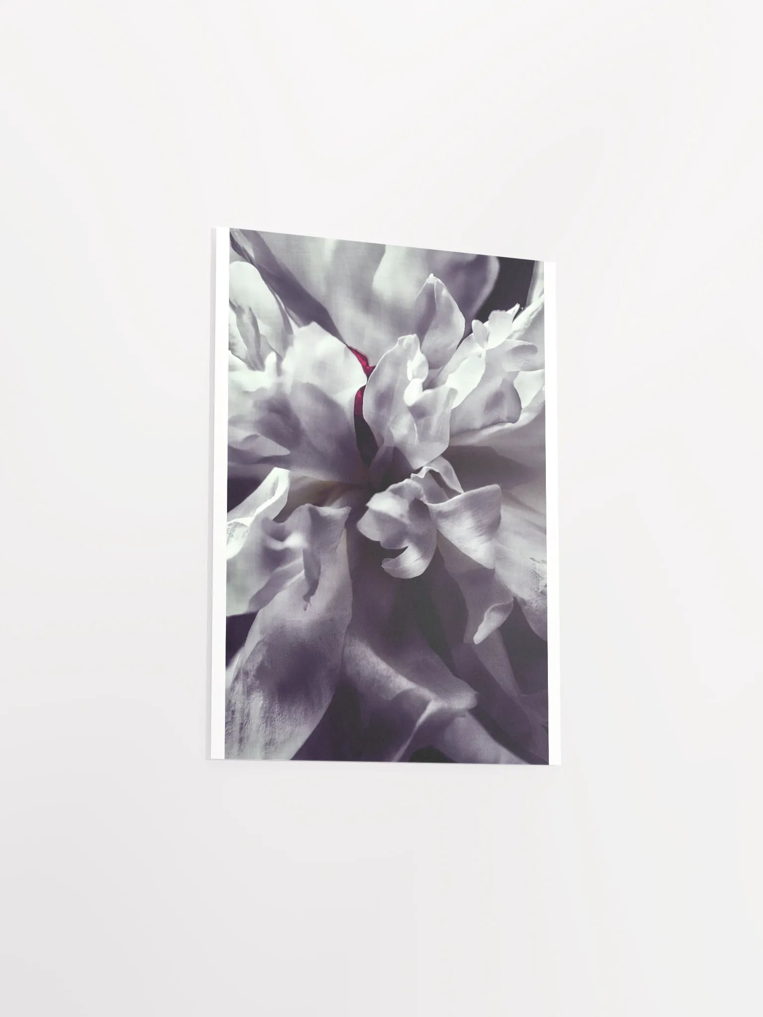 Peony Heart - Print product image (4)