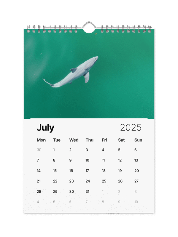 The Malibu Artist 2025 Calendar product image (8)