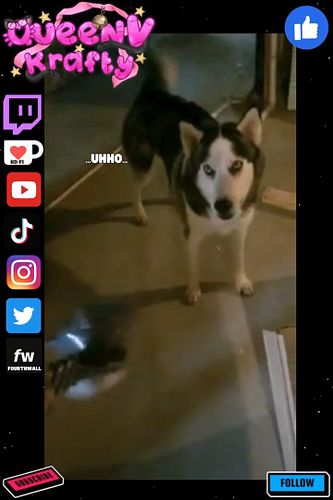 Just a Throwback to before the basement was finished. Tidus has always been a awooligan downstairs it seems lol
I was wrappin...
